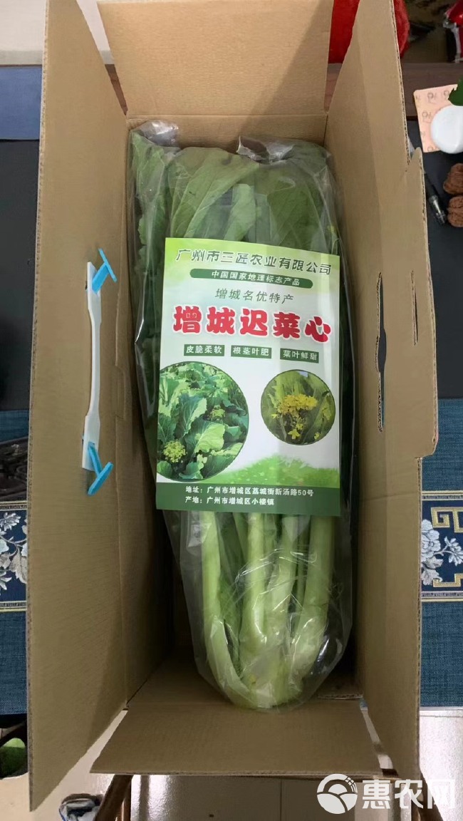 增城迟菜心