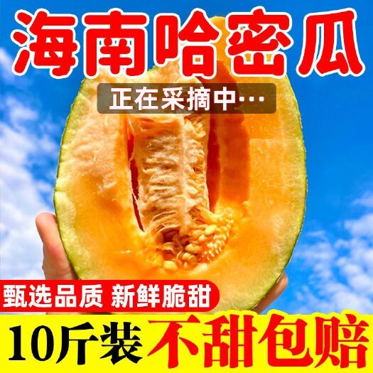 海口海南哈密瓜玫珑蜜瓜当季新鲜水果冰淇淋网纹瓜（包邮）