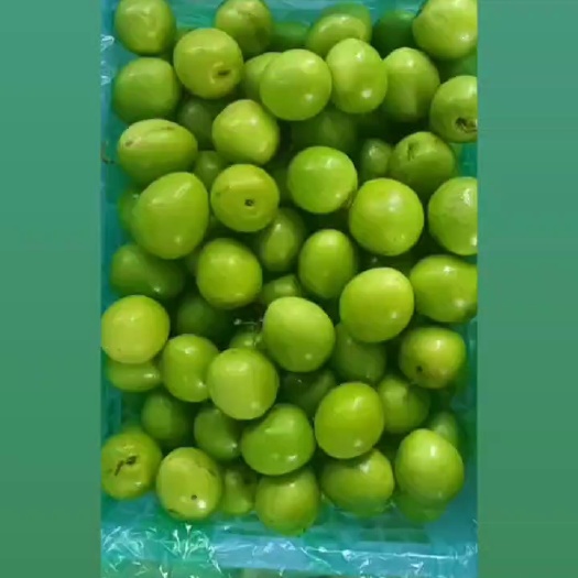 青枣