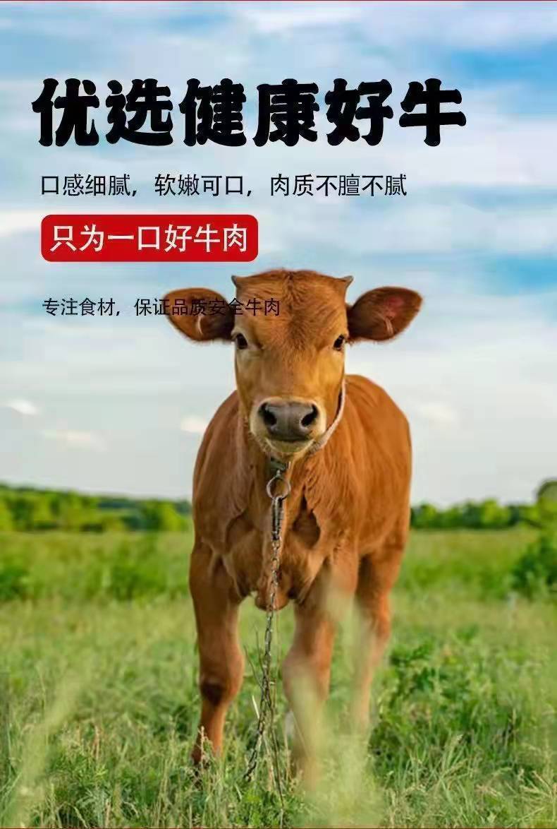 国产牛腩黄牛肉新鲜牛腩肉黄牛腩肉牛肉类冷冻里脊肉牛腿肉原切