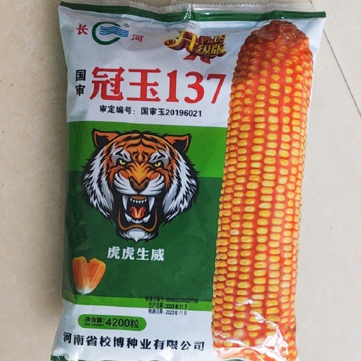 菏泽国审良种，冠玉137,大棒  稀植，抗病抗倒
