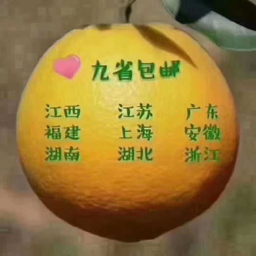 正宗江西赣南脐橙子寻乌产地不打腊不催熟不染色水果