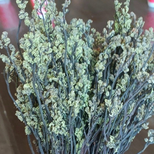 干蕨菜山野菜