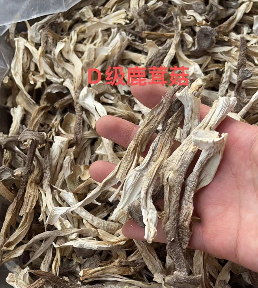 鹿茸菇，干货，整件批发