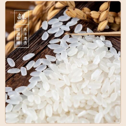 梁河县东北黑龙江珍珠米10公斤，粳米一级。