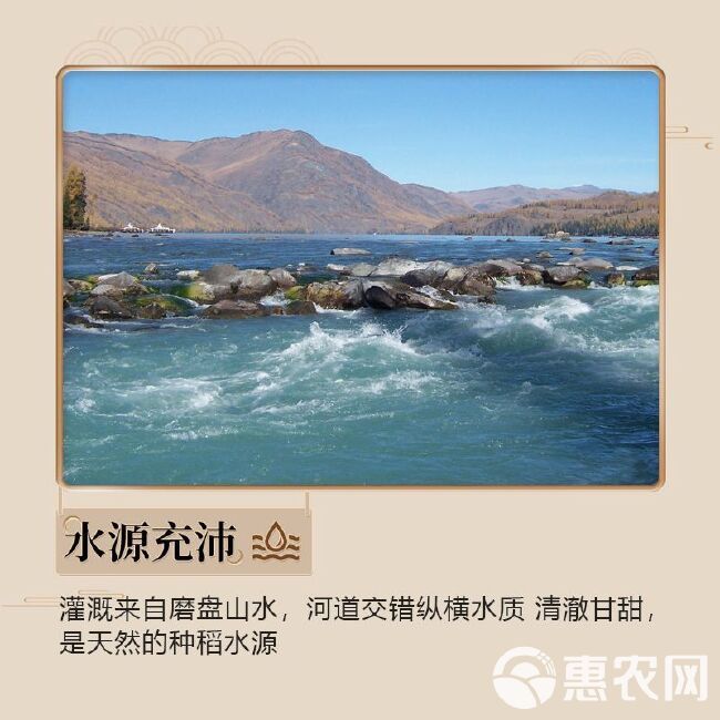 东北黑龙江珍珠米10公斤，粳米一级。