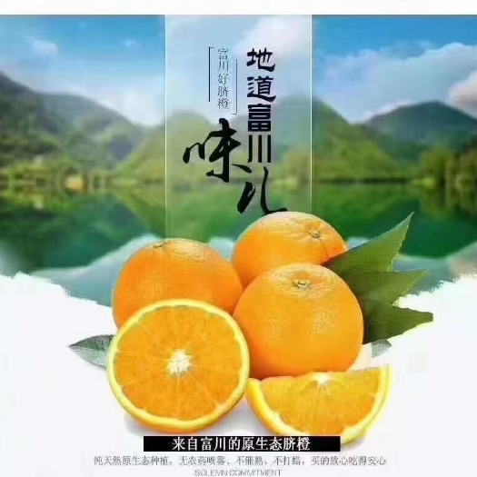 一橙一世界，一树一繁华；    小橙故事多，秋冬橙熟时！