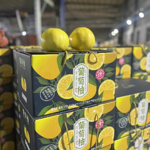 平和县葡萄柚精品A级礼盒（8-11颗装）厂家直销