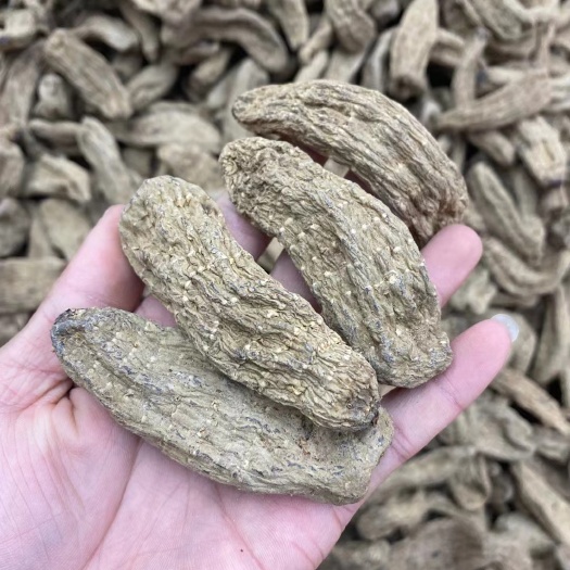 文山市乌天麻 乌天麻 乌天麻乌天麻