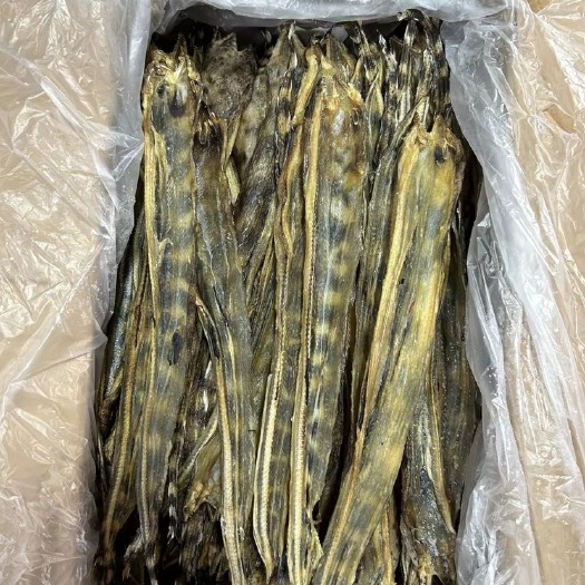 海丰县钱麻仔淡干，量大从优