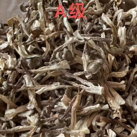 成都鹿茸菇，干货，整件批发