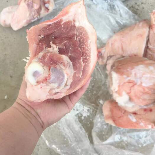 青岛猪肉冻品