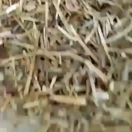 宁陵县常年出售花生秧，颜色漂亮。