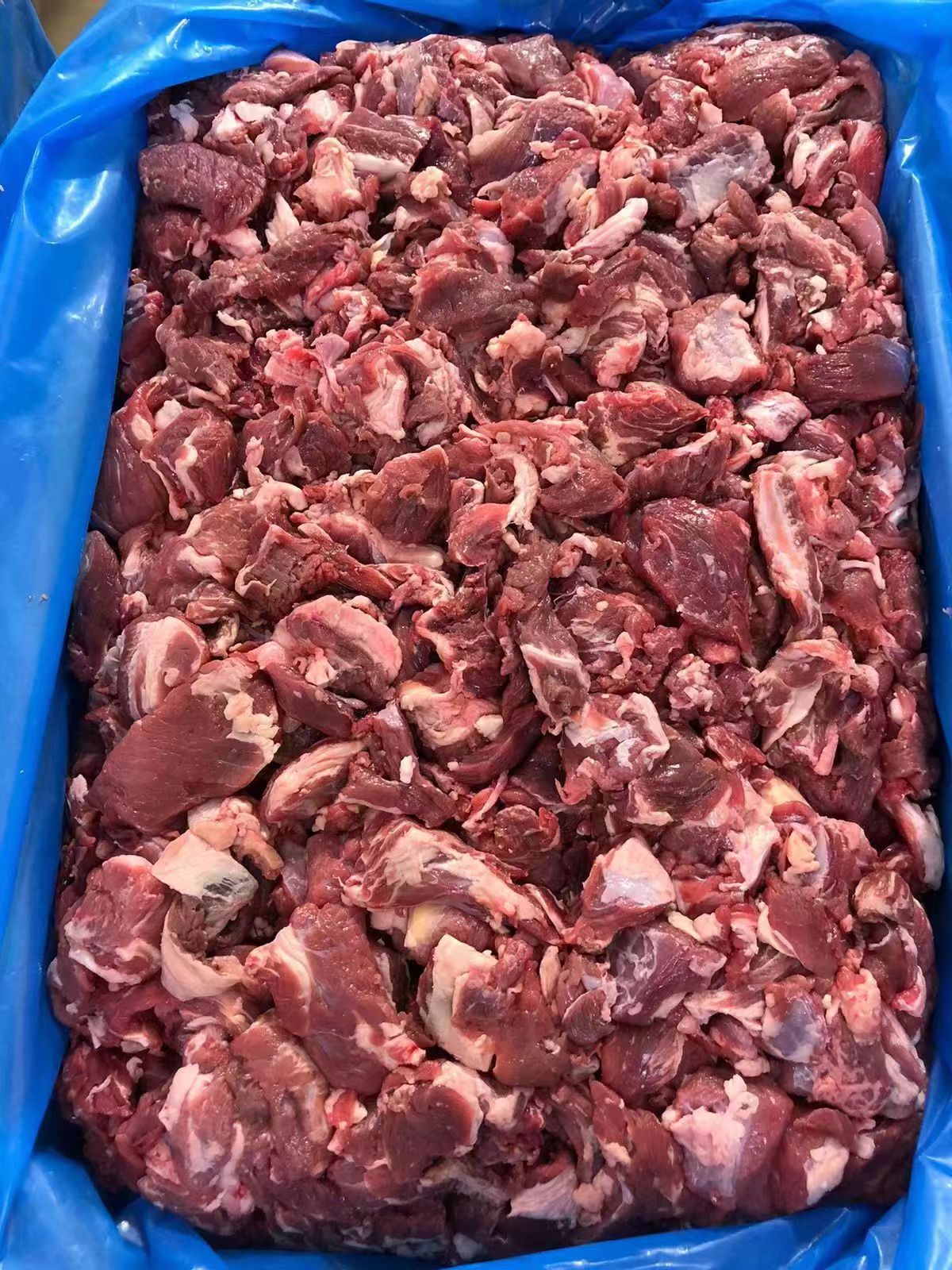 玻利維亞22廠碎肉