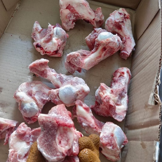 棒骨  多肉前腿骨 智力前腿棒骨  筒骨