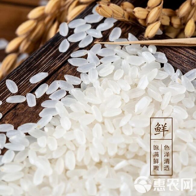 东北黑龙江珍珠米10公斤，粳米一级。