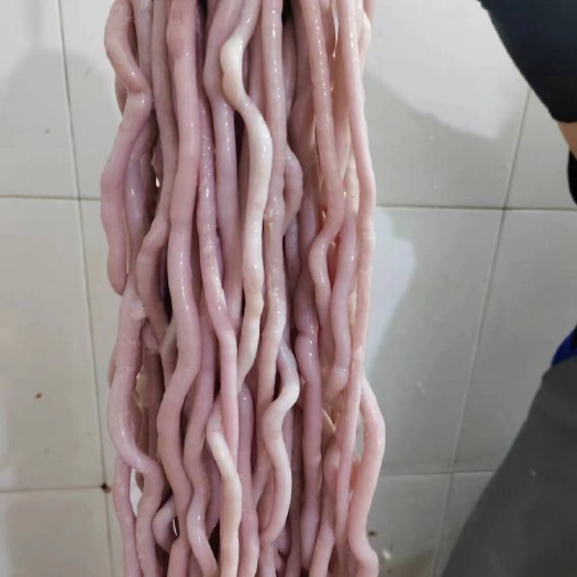 珠海新鲜鹅肠