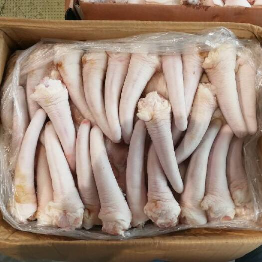 临沂猪短尾，长尾都有