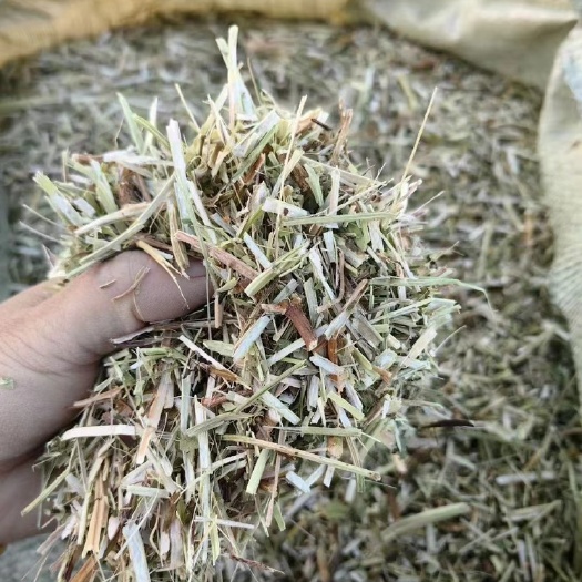 故城县花生秧7成绿