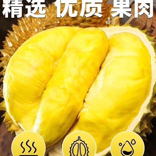 广州AAA级榴莲果肉冷冻无核泰国新鲜金枕头榴莲果肉