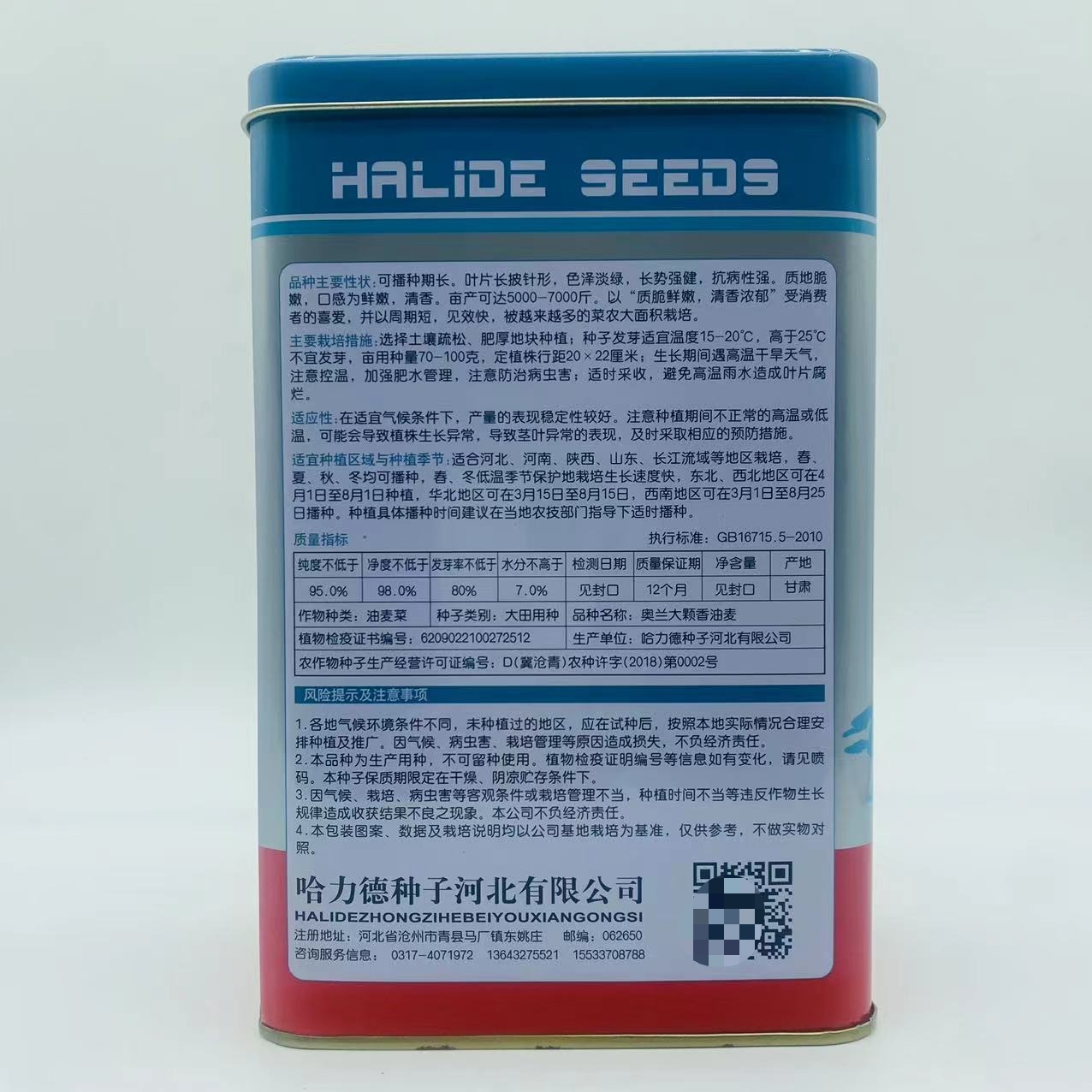 绿剑无斑香油麦菜种子生长强势纤维少易栽培 大颗油麦菜种子