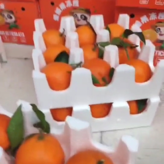 丹棱县爱媛橙
