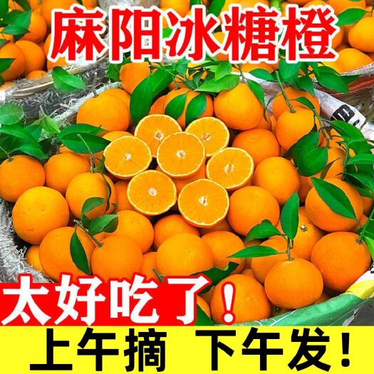 麻阳县【正宗】湖南麻阳冰糖橙新鲜橙子整箱包邮当季水果甜橙手剥橙批发
