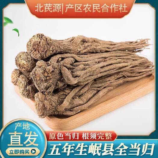 亳州当归个 无硫当归个子规格齐全 批发各种当归个 量大从优