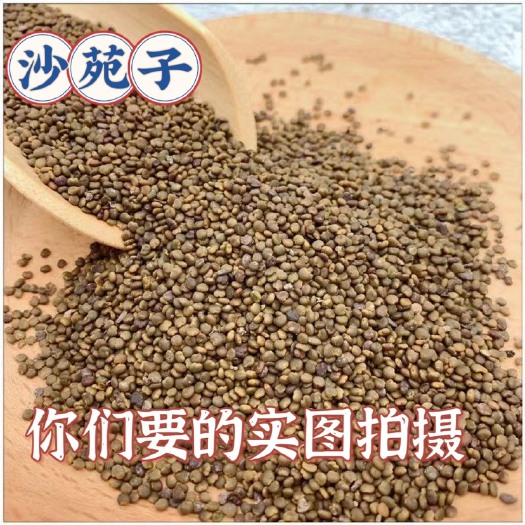 沙苑子 中药材沙苑子新货 颗粒饱满