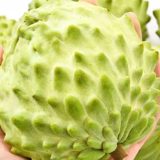 昆明释迦果/云南释迦果/一件代发/基地直发/整柜走货