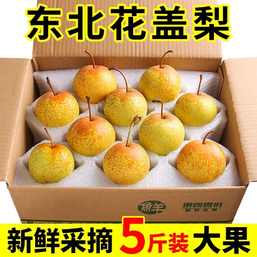 正宗花盖梨东北鞍山特产软梨酸梨子新鲜水果可以做冻梨1斤5斤