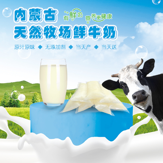 内蒙古天然牧场直供鲜牛奶12斤全脂灭菌奶营养早餐纯牛奶