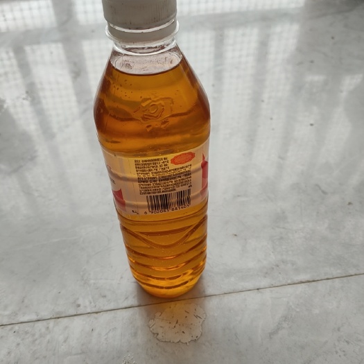 宁明县山茶油