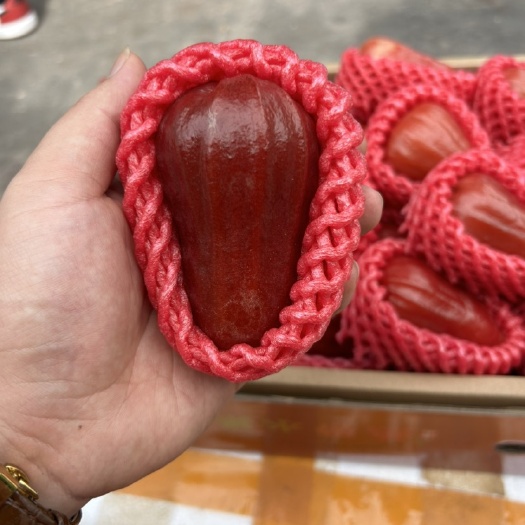 三亚海南黑金刚莲雾A级