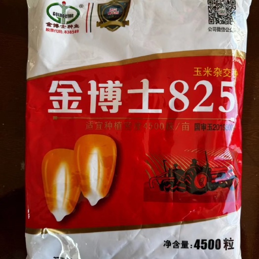 沈阳良玉99、金博士825、京科968