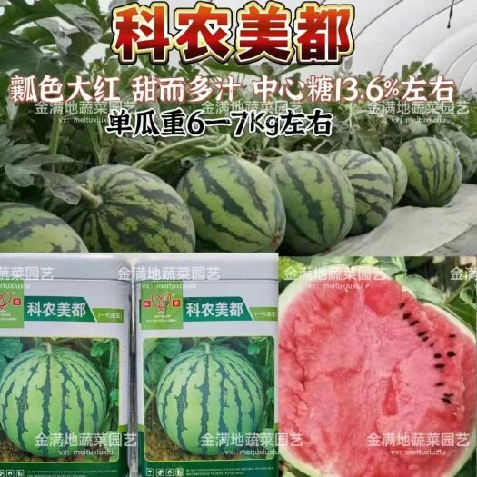 科农美都西瓜种子早中熟西瓜种子大红瓤甜而多汁美都西瓜种子正品