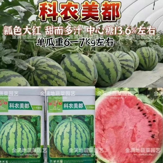 沭阳县科农美都西瓜种子早中熟西瓜种子大红瓤甜而多汁美都西瓜种子正品