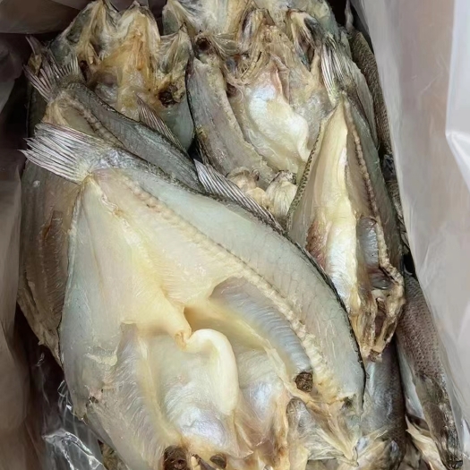 广州开边草鱼，干度颜色都非常漂亮