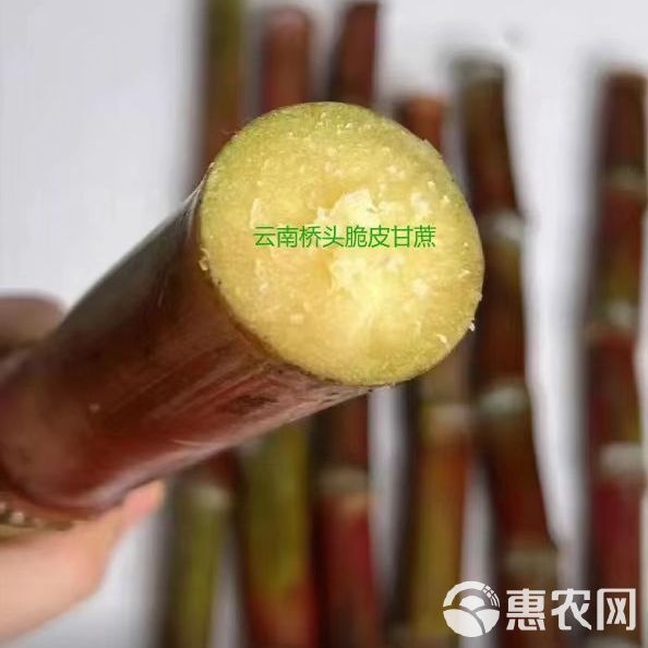 甘蔗云南脆皮红皮罗汉薄皮甘蔗非广西甘蔗