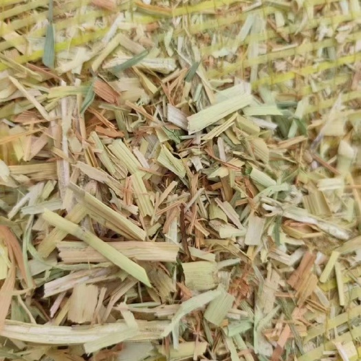 蔚县谷草