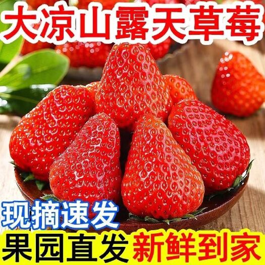会东县[顺丰空运]草莓大凉山新鲜应季水果整箱批发