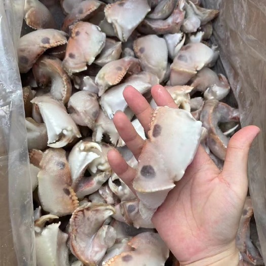 元宝蟹面包蟹虎纹蟹脚蟹腿蟹钳带壳批发