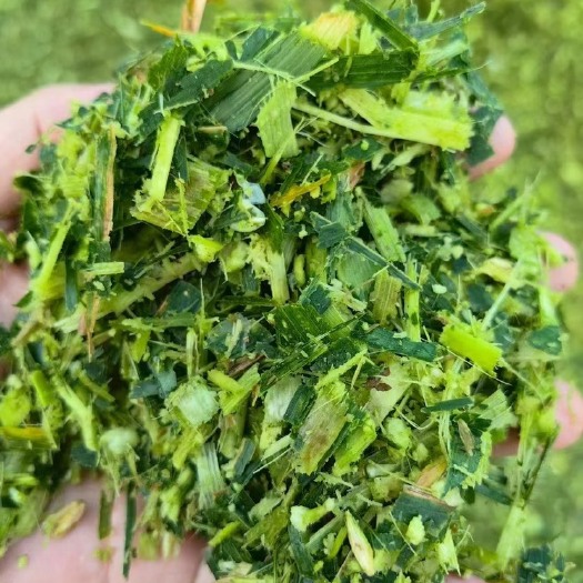 沧县黄储