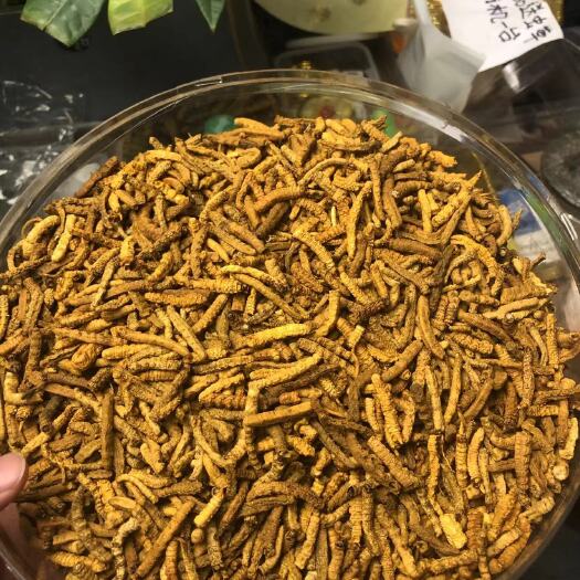 成都肉节品质不错大小都有不苦
