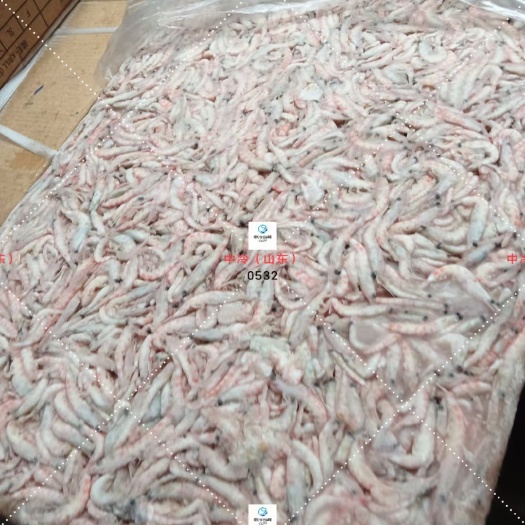 青岛南极磷虾原材料（食品级，饵料）
