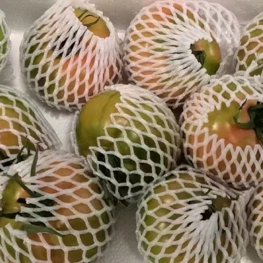 广饶县口感西红柿，西红柿