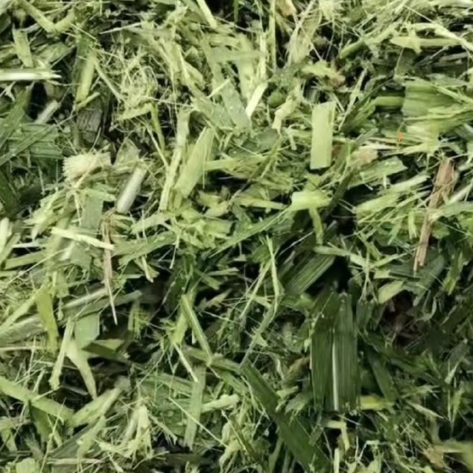 徐闻县玉米秸秆