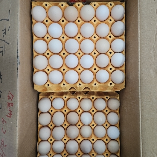草鸡蛋360个