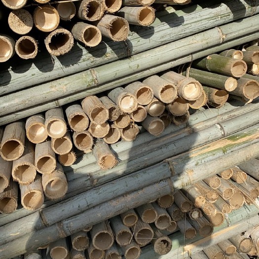谷城县常年供应树支撑，立杆，顶杆，各种规格竹竿/全国发货/竹竿质量