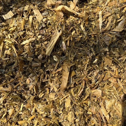 青贮玉米秸秆 黄储